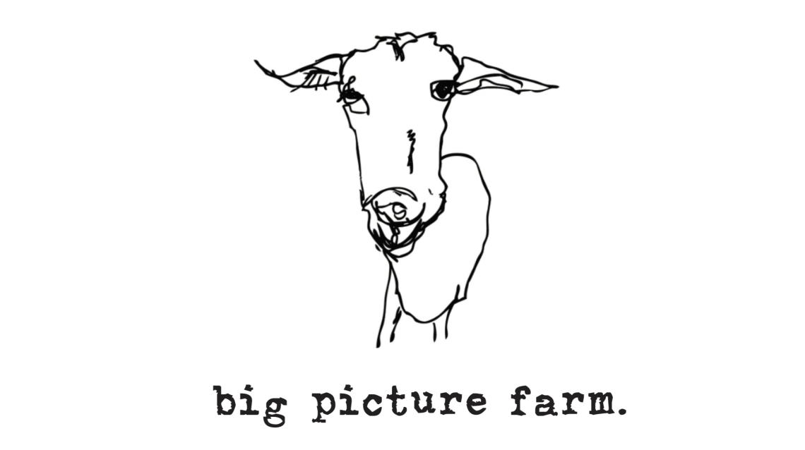 Hand-drawn picture of a goat